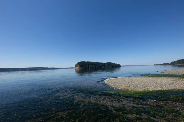 Royal Life Centers at Puget Sound
