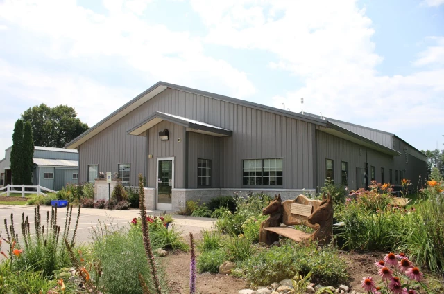 Rawhide Youth Services