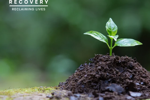 ReVIDA Recovery Centers