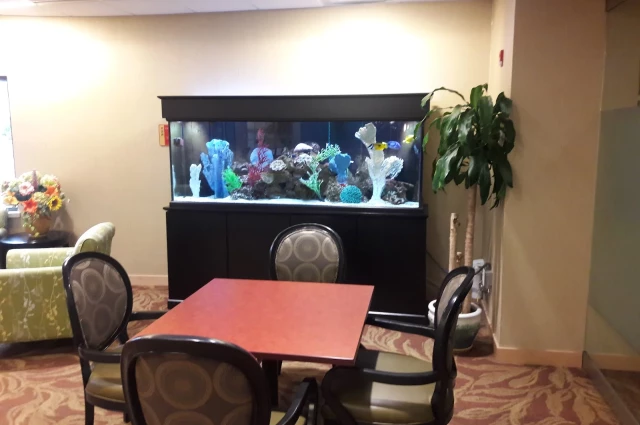 South Shore Recovery Home South Shore Recovery Home