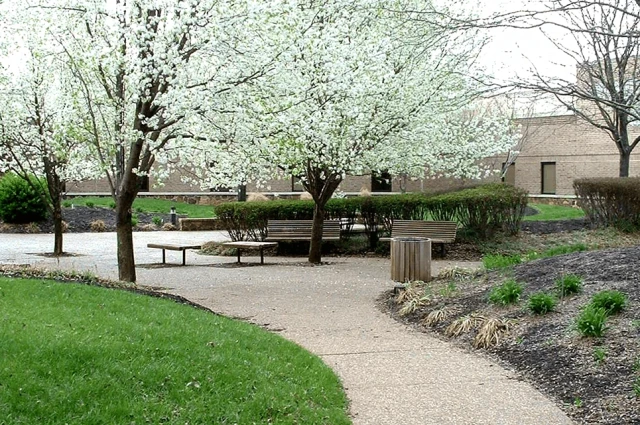 Rivendell Behavioral Health Services