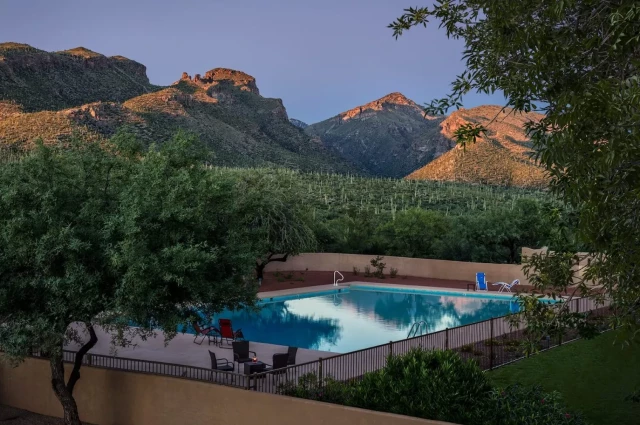 Sabino Recovery