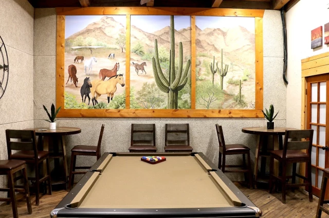 Sanctuary Recovery Centers