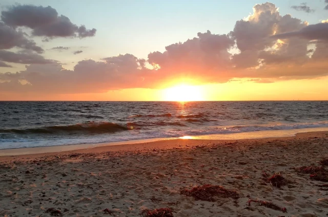 Seabrook Cherry Hill Seabrook Cherry Hill