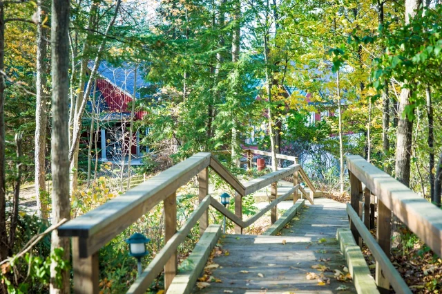 Skywood Recovery