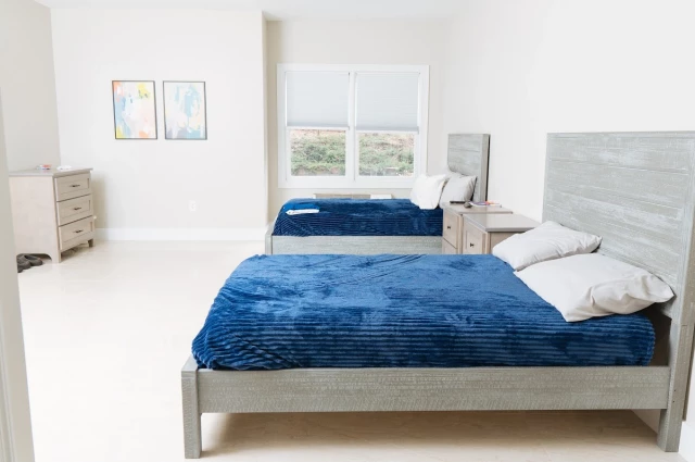 Southern Live Oak Wellness