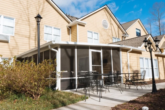 Southern Live Oak Wellness