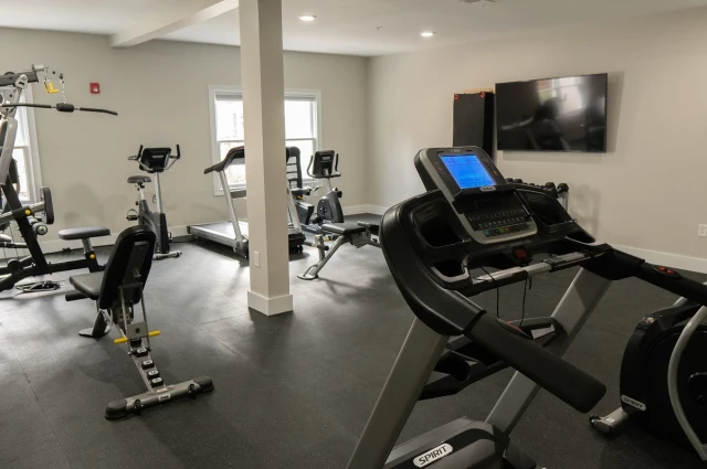Southern Live Oak Wellness