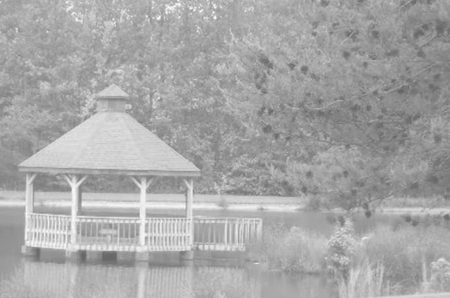 SpringBrook Behavioral Health System