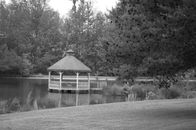 SpringBrook Behavioral Health System