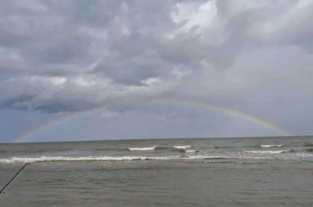 Saint Simons by the Sea