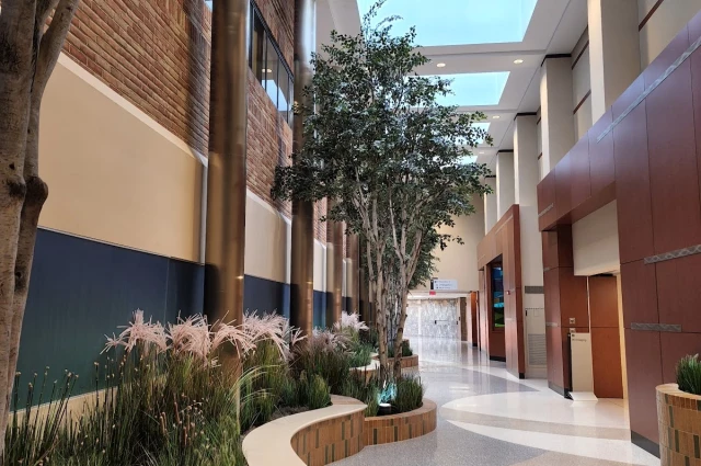 Saint Mary Mercy Hospital - Behavioral Medicine
