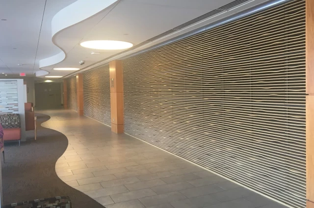St. Joseph's Hospital and Medical Center - ACCESS