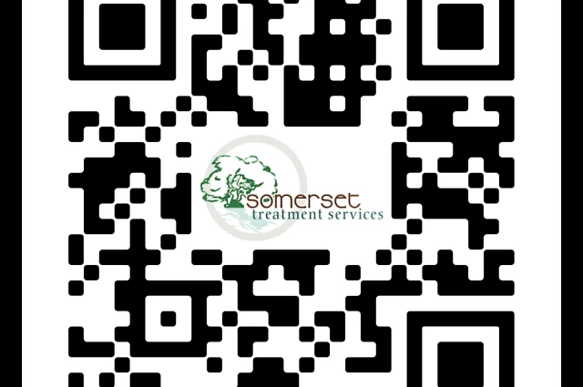 Somerset Treatment Services