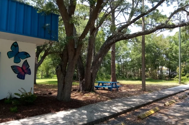 Suncoast Center - Outpatient Services 2188 58th Street North