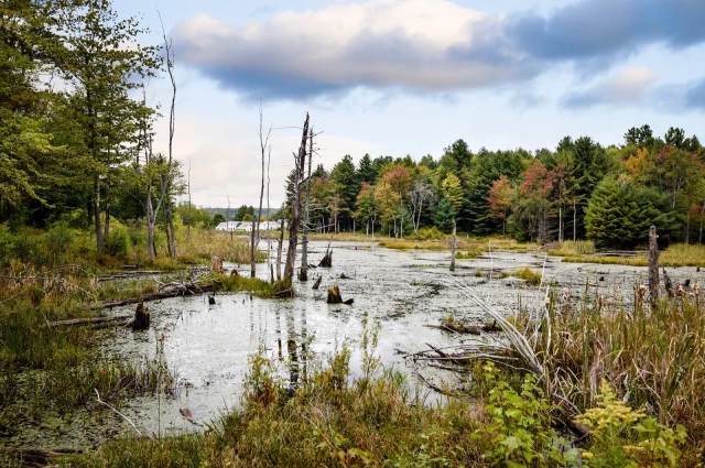 Addiction Campuses - Swift River