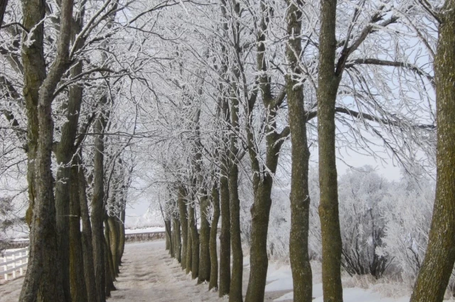 Tallgrass Recovery and Sober Living Homes