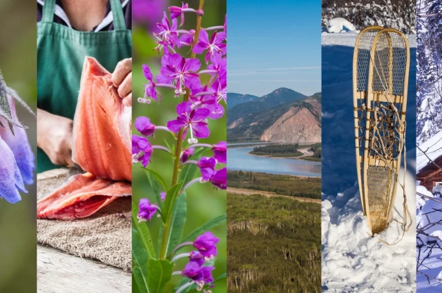 Tanana Chiefs Conference - Behavioral Health