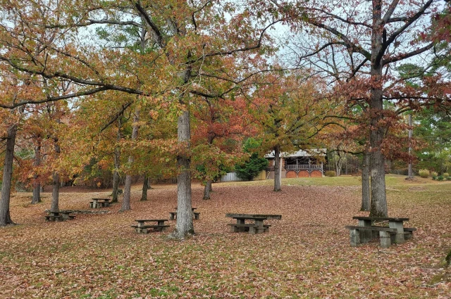 Crowson Open Addiction Treatment Center - COATC