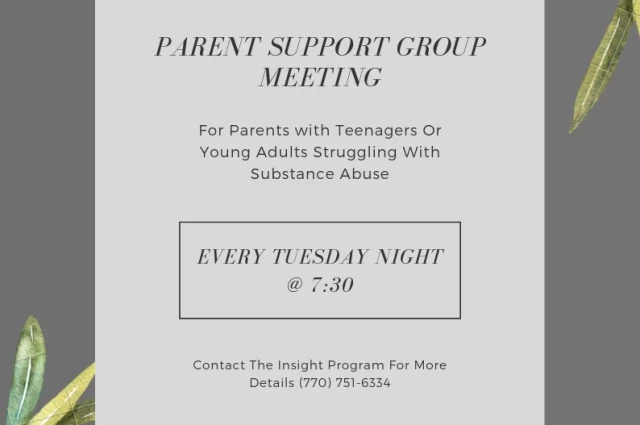 Insight Program