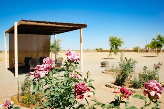 River Source Treatment Center Casa Grande - Outpatient Services