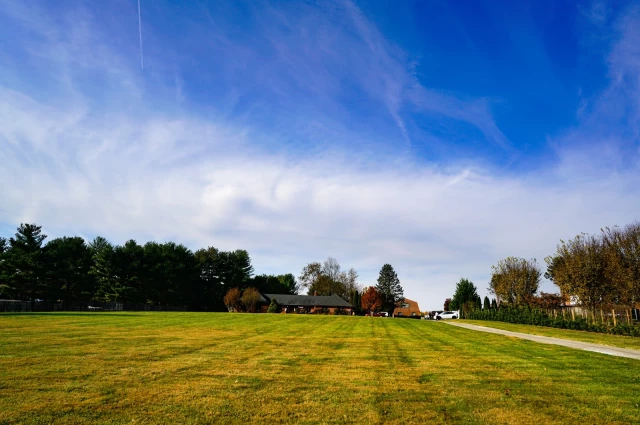 The Valley
