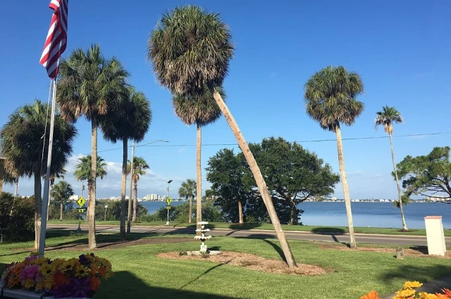 Wave of Edgewater