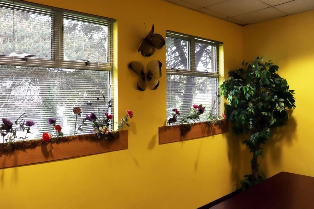 Therapeutic Health Services - Youth and Family Services