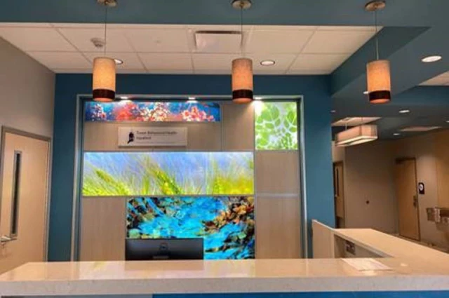 Tower Behavioral Health