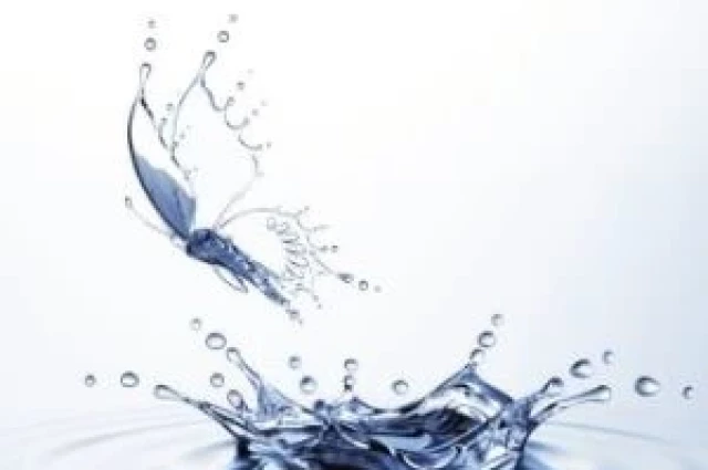 Transcending Hope Institute