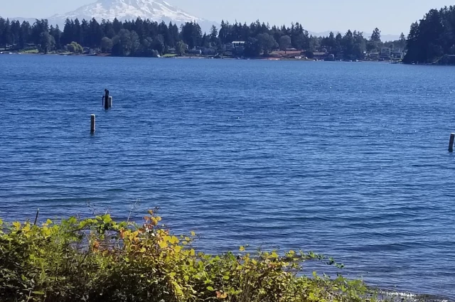 VA Puget Sound Healthcare System - American Lake Division
