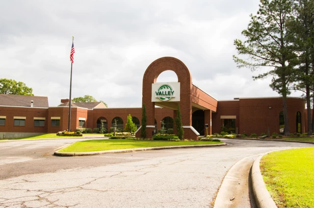 Valley Behavioral Health System