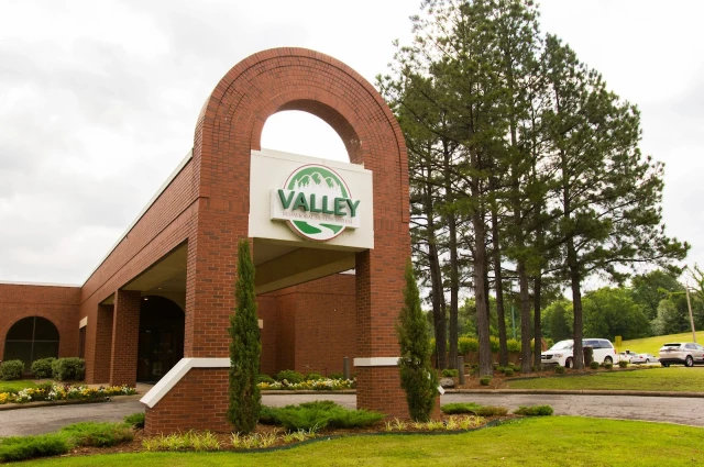 Valley Behavioral Health System
