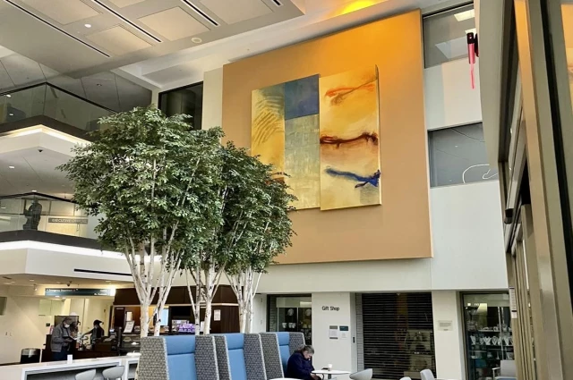 Virginia Hospital Center