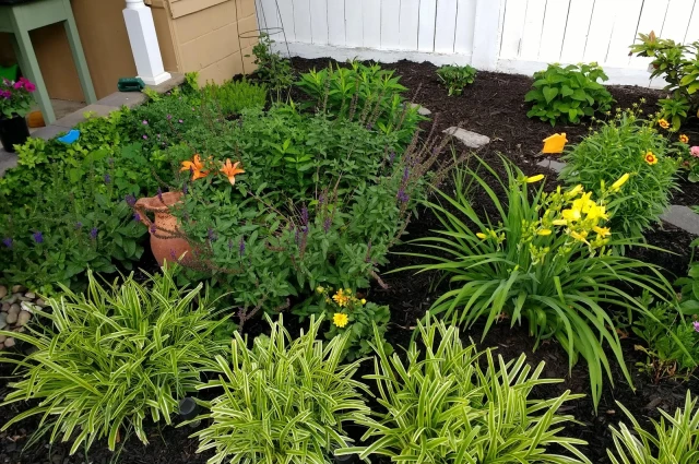 Volunteers of America Fresh Start Recovery Center - Fresh Start Recovery Center