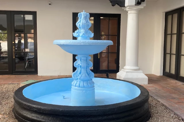 WD Recovery and Wellness Center