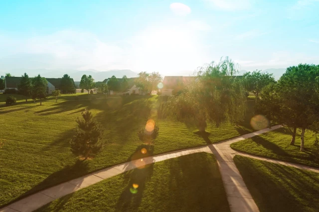 West Ridge Academy - Bamboo Academy