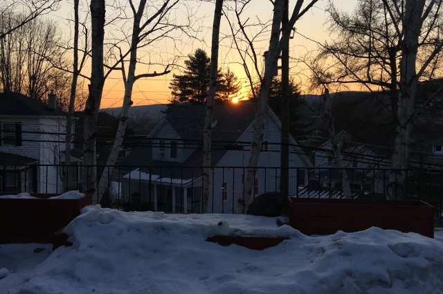 Retreat at White Birch