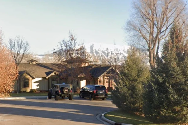 Willow Tree Recovery