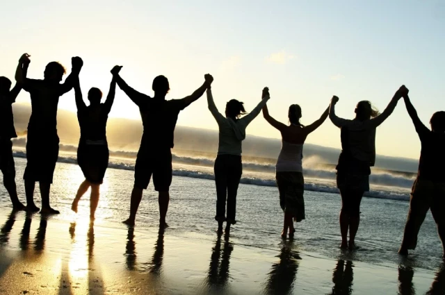 Willow Tree Recovery