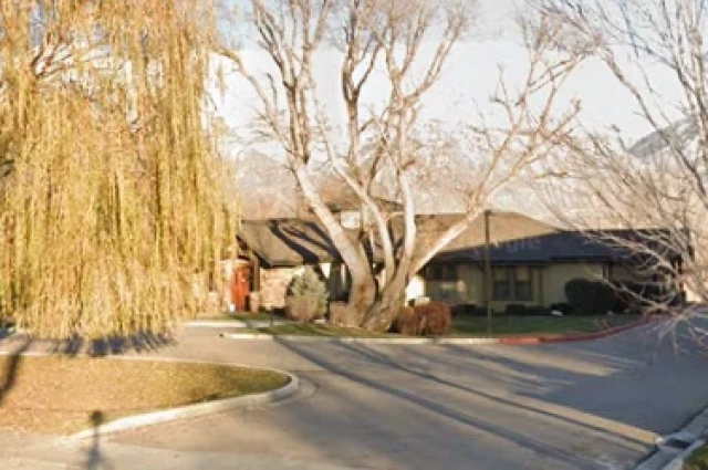 Willow Tree Recovery