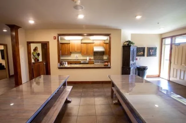 Willow Tree Recovery