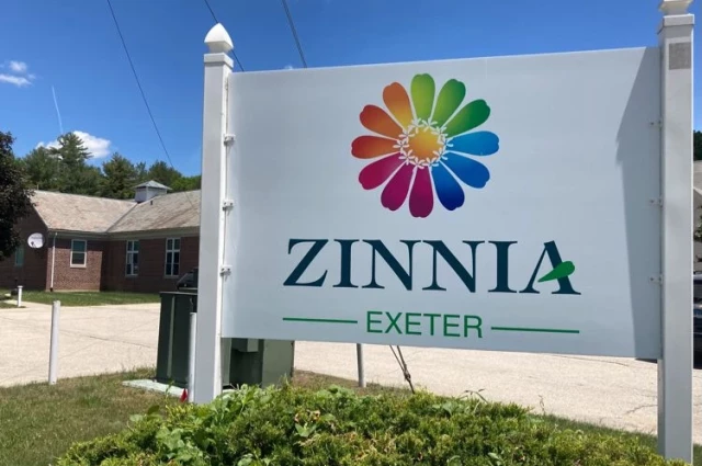 Zinnia Exeter