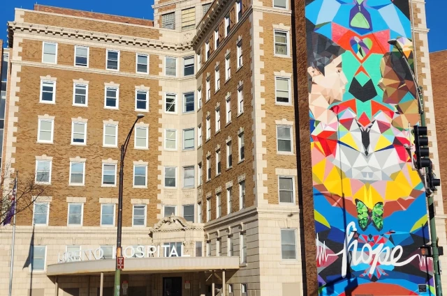 Loretto Hospital Behavioral Health