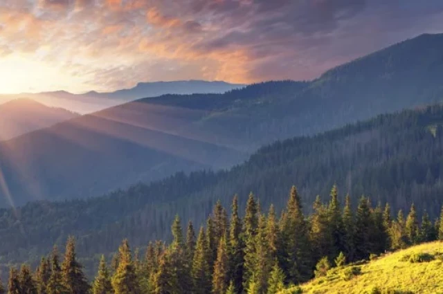 Pyramid Healthcare - Detox and Inpatient Treatment Center
