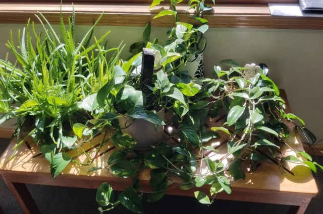 Changes Place