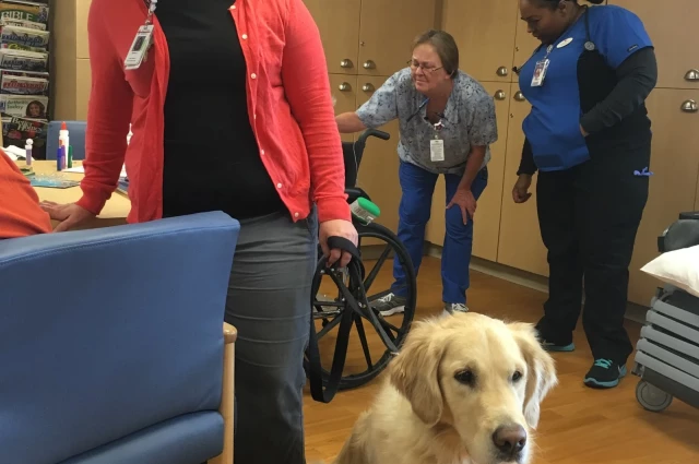 Saint John Hospital - Senior Behavioral Health Center