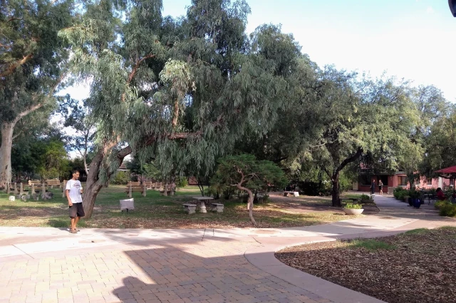 Amity Foundation at Circle Tree Ranch