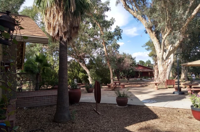 Amity Foundation at Circle Tree Ranch