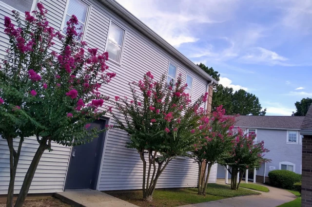Centers for Youth and Families - Independent Living